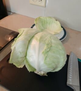 Removing Cabbage Leaves Sauerkraut